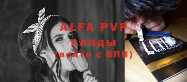 хмурый Нея