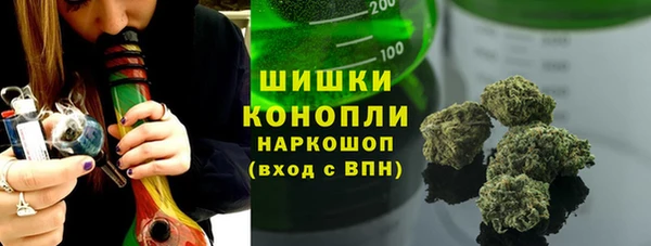 гашик Нефтекумск