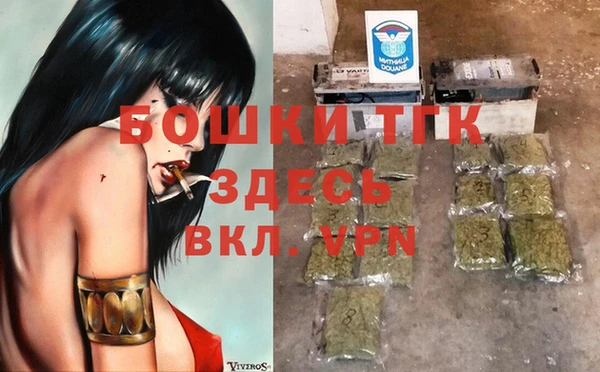 гашик Нефтекумск