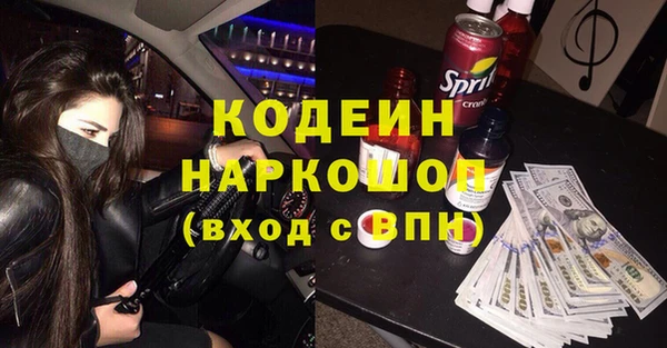 хмурый Нея
