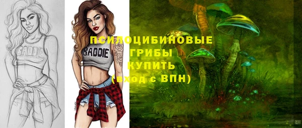 хмурый Нея