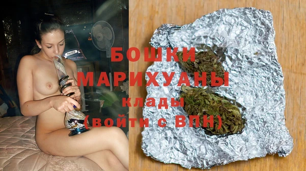 хмурый Нея