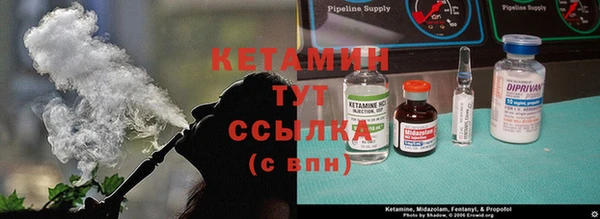 хмурый Нея